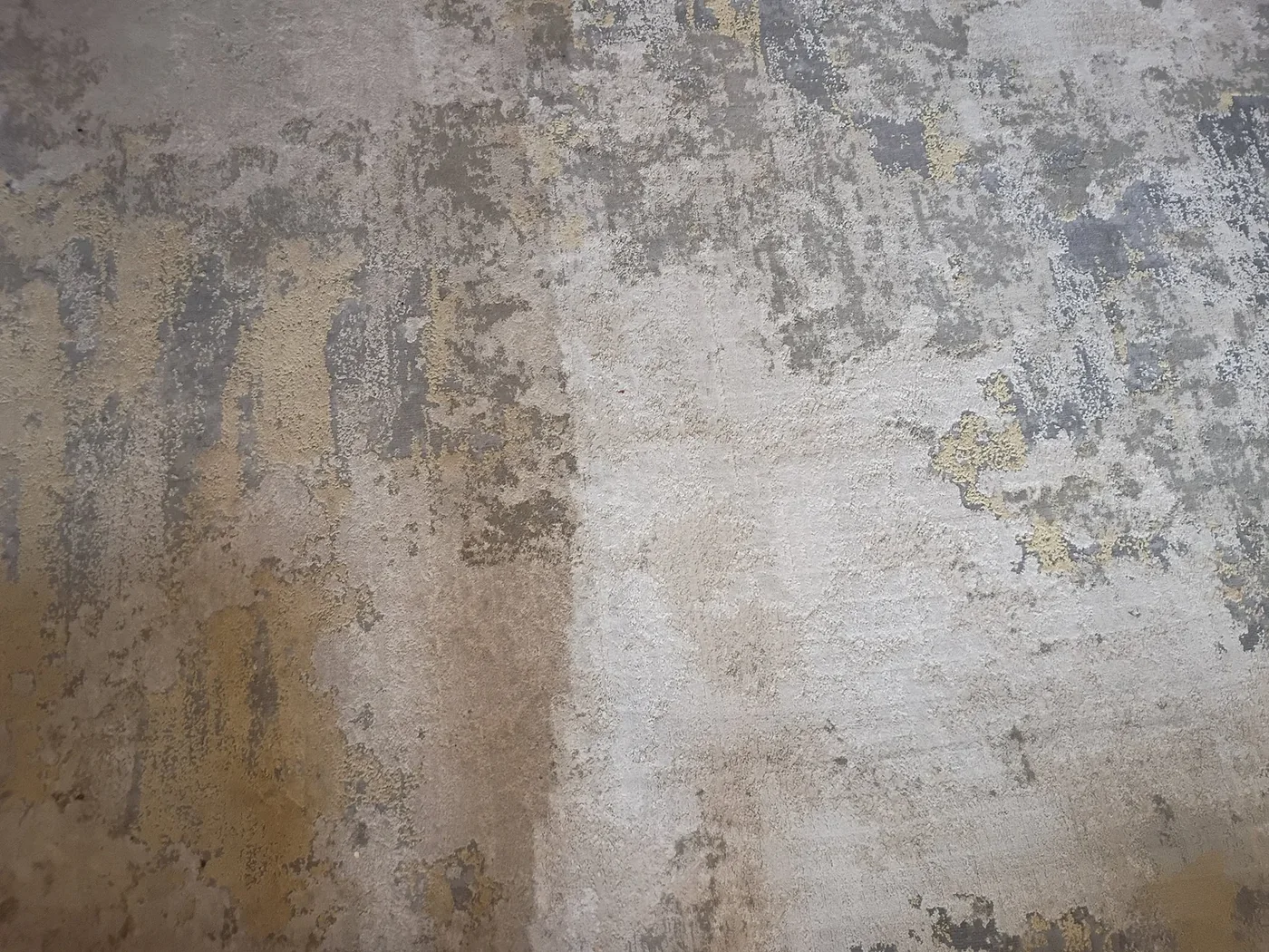 An area rug mid clean, the right side bright and the left side still soiled